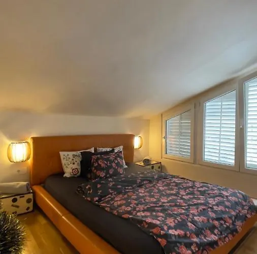 On 23 شقة بلغراد